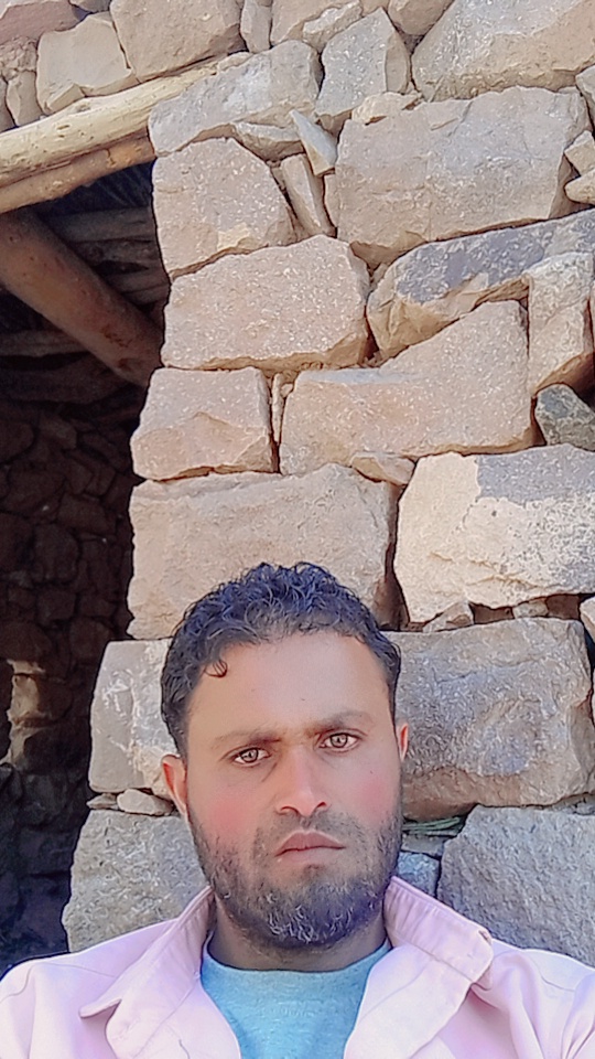 شمقمق