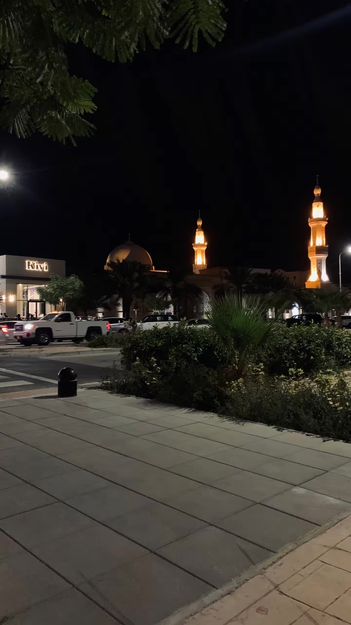 صورة البندري