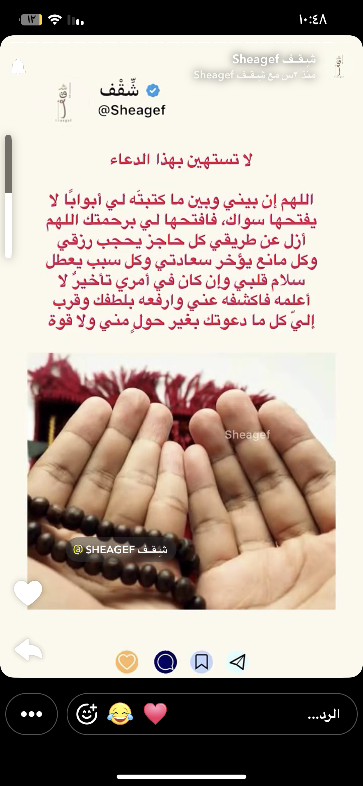 صورة ام نايف