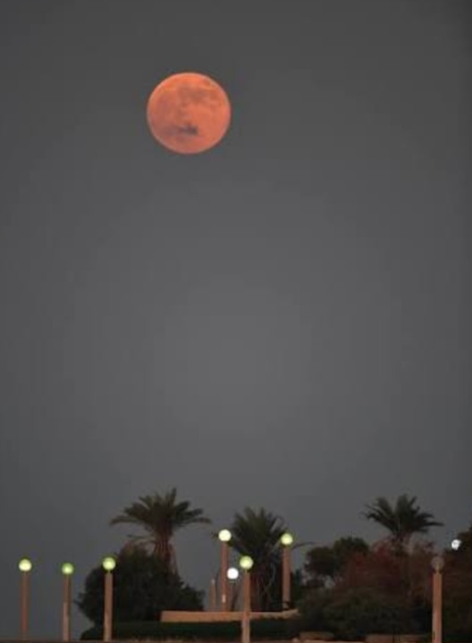 عبدالرحمن