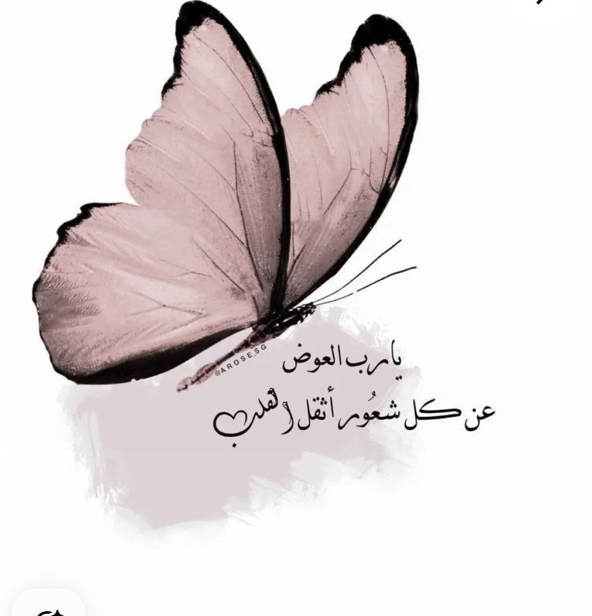 فوز العسيري